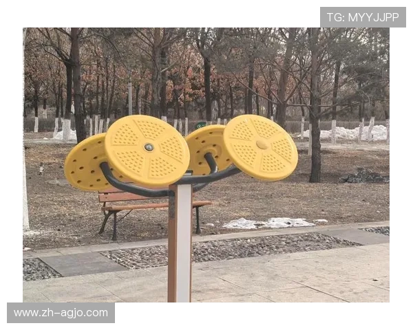 阳刚健身器材：为男性量身打造的健身设备